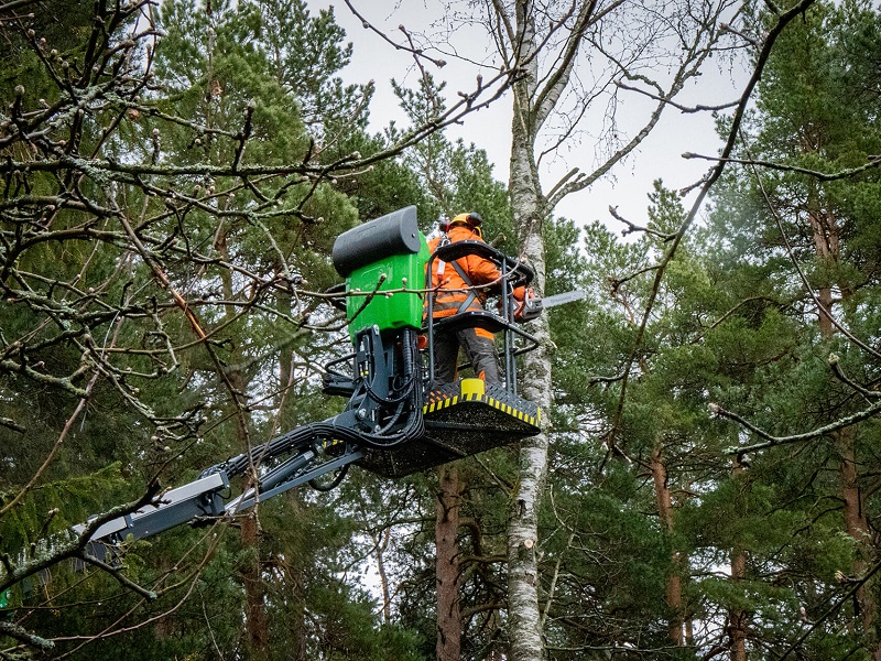 leguan 190 on site 1